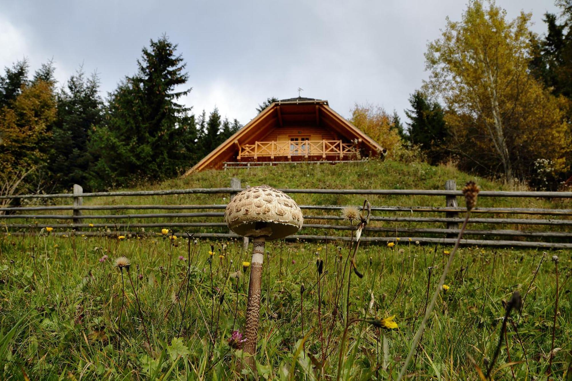 Charming Chalet Rogla Hudinja Dış mekan fotoğraf